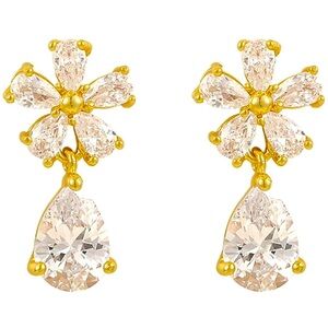 Water drop Gemstone Earrings